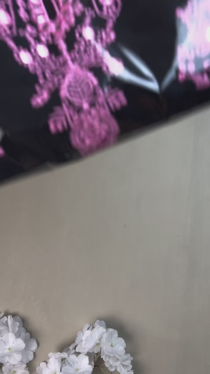Black Pink Embroidery Suit